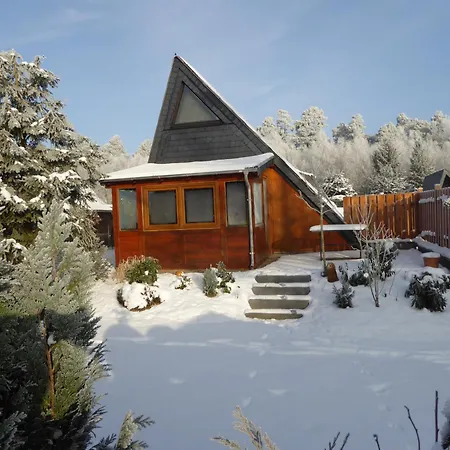 Eifelwaldhaeuschen Grosstyp Mit Wintergarten Und Waschkeller Haustiere Ok