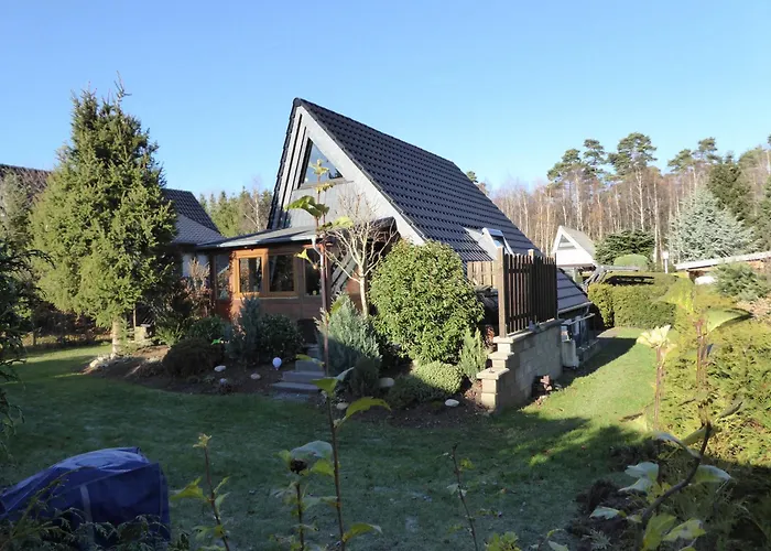 Eifelwaldhaeuschen Grosstyp Mit Wintergarten Und Waschkeller Haustiere Ok بلانكينهييم