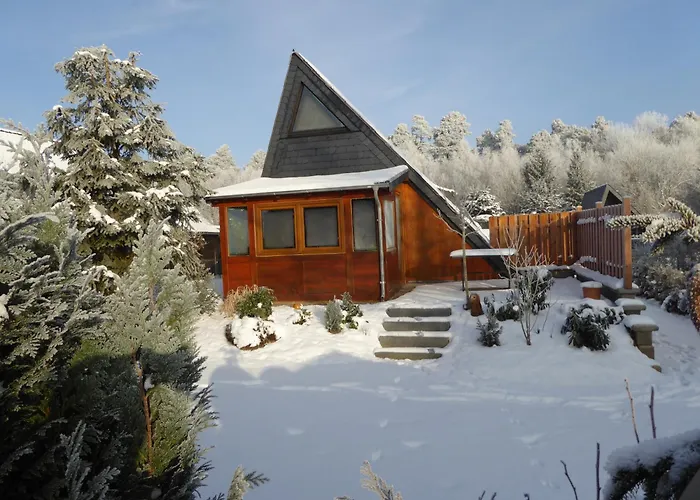 Eifelwaldhaeuschen Grosstyp Mit Wintergarten Und Waschkeller Haustiere Ok