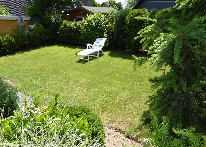 Eifelwaldhaeuschen Grosstyp Mit Wintergarten Und Waschkeller Haustiere Ok بيت للعطل *